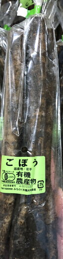 【有機認証】岩手県産 みちのくの春掘り有機ごぼう 約200gP x2個セット【冷蔵】 【有機認証】岩手県産 みちのくの春掘り有機ごぼう 約200gP x2個セット【冷蔵】