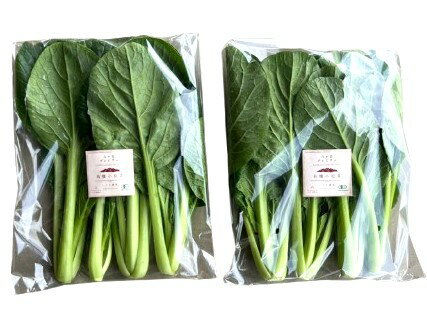 【有機認証】山梨県 八ヶ岳の有機小松菜 約200gPx4 セット【冷蔵】