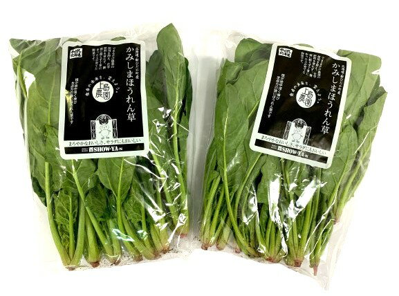 【農薬未使用】北海道のほうれん草　約150gP　x2個セット【冷蔵】