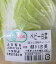 【有機認証】さんぶのベビー白菜　1個P（約250g）　x2個セット【冷蔵】