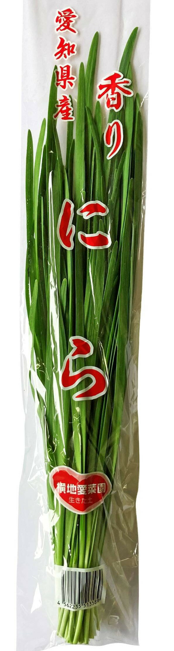 【減農薬】愛知県 渥美のニラ 約100gP x2個セット【冷蔵】