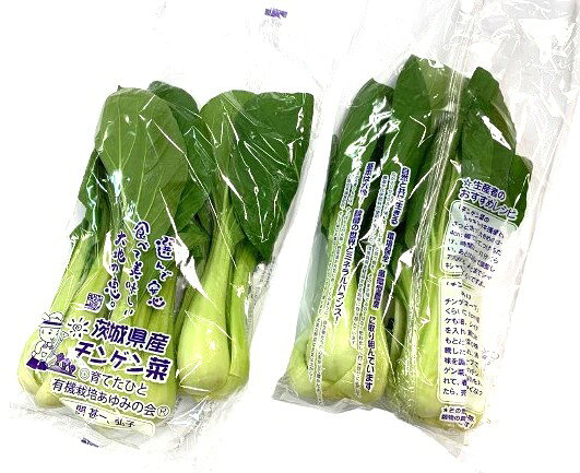 ڸۤߤβ񡡰Υ󥲥ڡ2Px4 åȡ¢