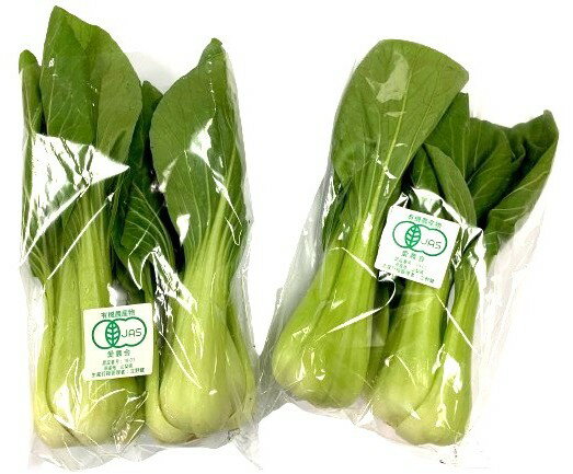 【有機認証】山梨県 タテノファームの有機チンゲン菜(1P2〜4株)約200gx4 セット【冷蔵】