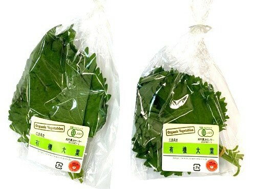 【有機認証】大葉 有機青じそ 10枚Px4 セット【冷蔵】