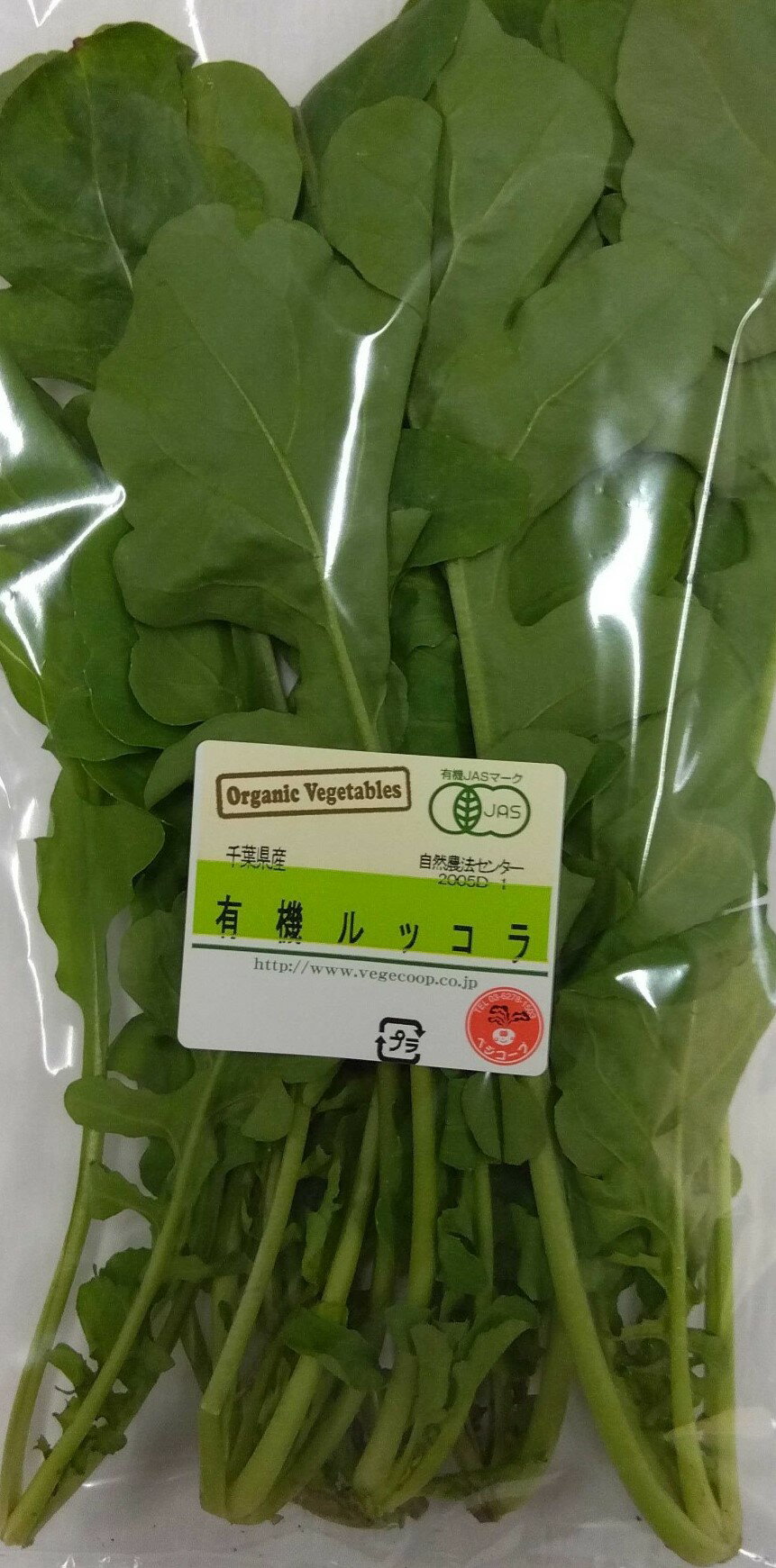 【有機認証】千葉の有機ルッコラ 約50gP x2個セット【冷蔵】