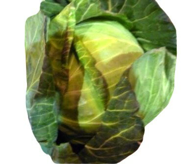 ڸ۰븩Υ٥ġ1ġx2ĥåȡ¢