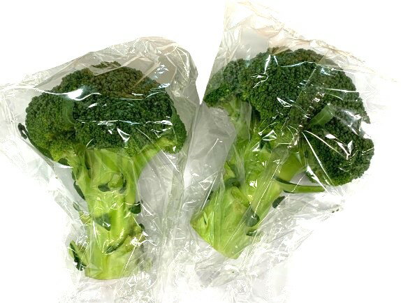 ̤ѡĹΥ֥å꡼1Px2ĥåȡ¢