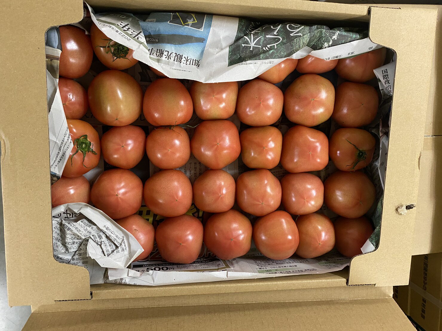 【特別栽培】高知県産　北岡さんのトマト（30～35個入）1箱【冷蔵】