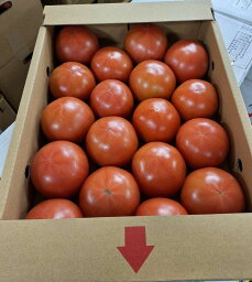 【特別栽培】熊本のトマト（18〜24個入）1箱　約4kg【冷蔵】