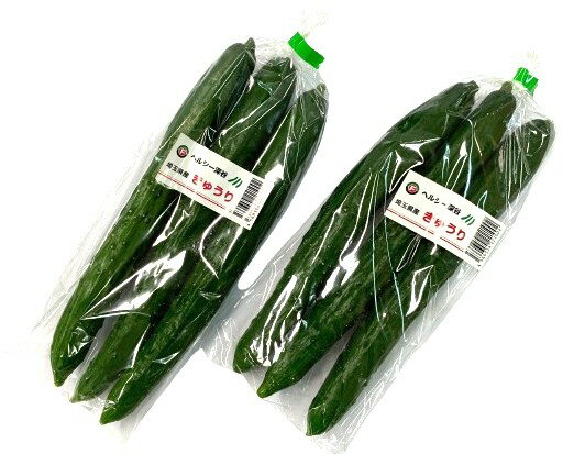【減農薬】埼玉県産 深谷のきゅうり 3本P x2個セット【冷蔵】