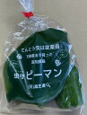 【農薬未使用】高知のピーマン 約150gP x2個セット【冷蔵】