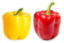 【農薬未使用】佐賀県 佐賀のパプリカ(赤or黄)1個 x2個セット【冷蔵】