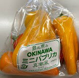 【特別栽培】沖縄のミニパプリカ（2～3色）約120gP　x2個セット【冷蔵】