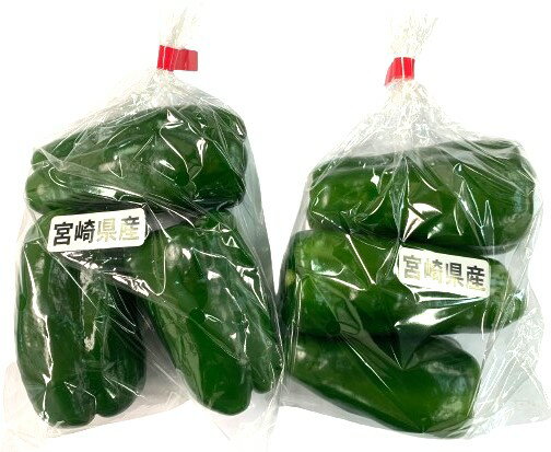 【減農薬】宮崎のピーマン 約150gP x2個セット【冷蔵】