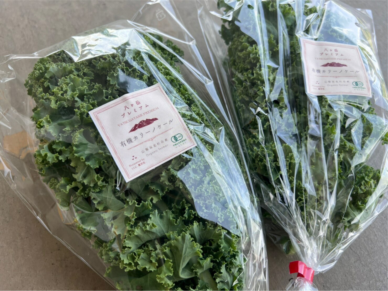 【有機認証】山梨県 有機ケール サラダケール カーリーケール 八ヶ岳の有機カリーノケール 約100gP x2個セット【冷蔵】