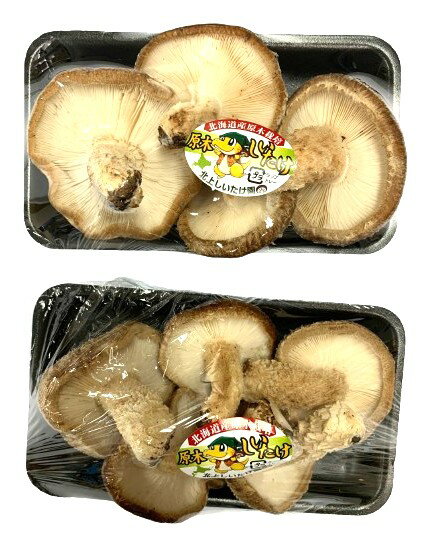 【農薬未使用】北海道 原木生椎茸(原木栽培)約100gPx4 セット【冷蔵】