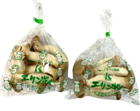 【農薬未使用】鳥取県 プチエリンギ 約150gP x2個セット【冷蔵】