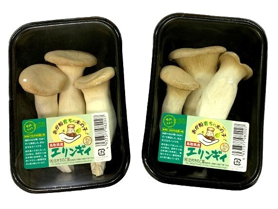 【農薬未使用】鳥取県 エリンギ 約100gPx4 セット【冷蔵】