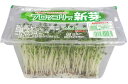 【特別栽培】岐阜県 ブロッコリーの新芽 約30gP x2個セット【冷蔵】