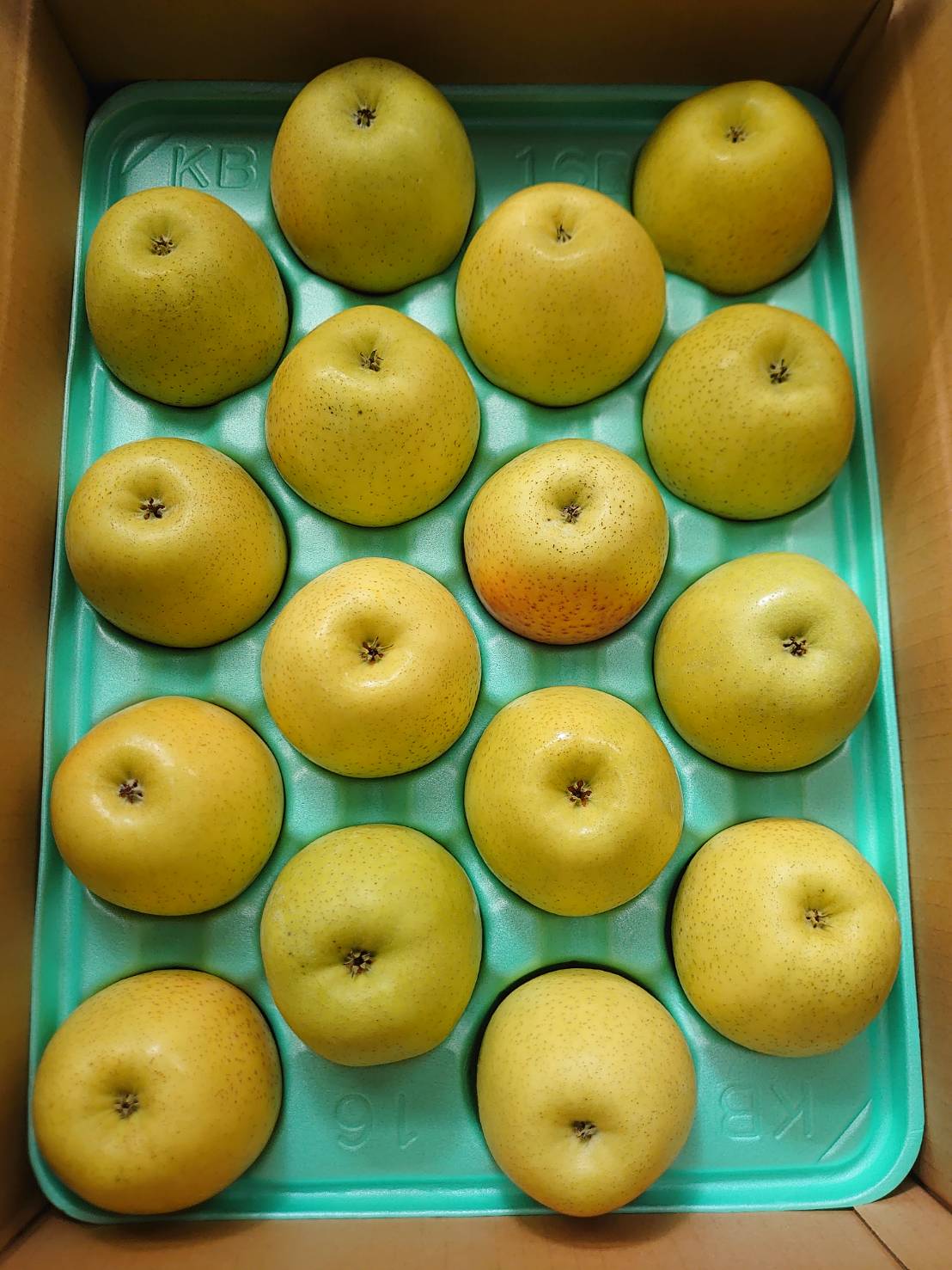 【減農薬】長野県　りんご　熊ちゃんの王林（13〜20個入）約5kg箱【冷蔵】(4)