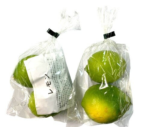 【農薬未使用】酢みかん類　愛媛県　無茶々園のレモン　2個入P　約300gx4 セット【冷蔵】