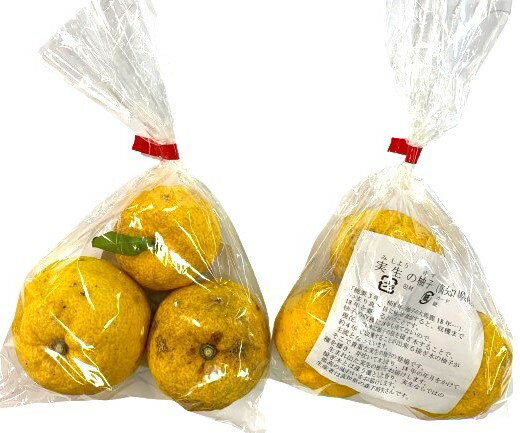 【農薬未使用】酢みかん類　高知の実生ゆず　3個P　x2個セット【冷蔵】