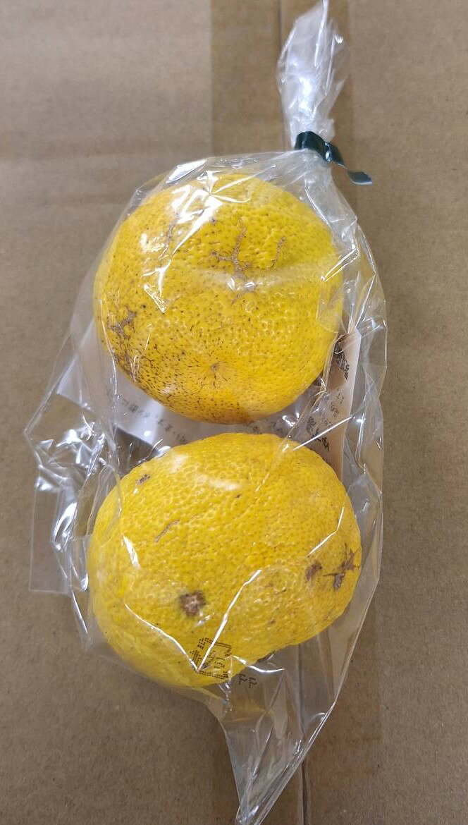【農薬未使用】酢みかん類　愛媛県　無茶々園のゆず　2個P　x2個セット【冷蔵】