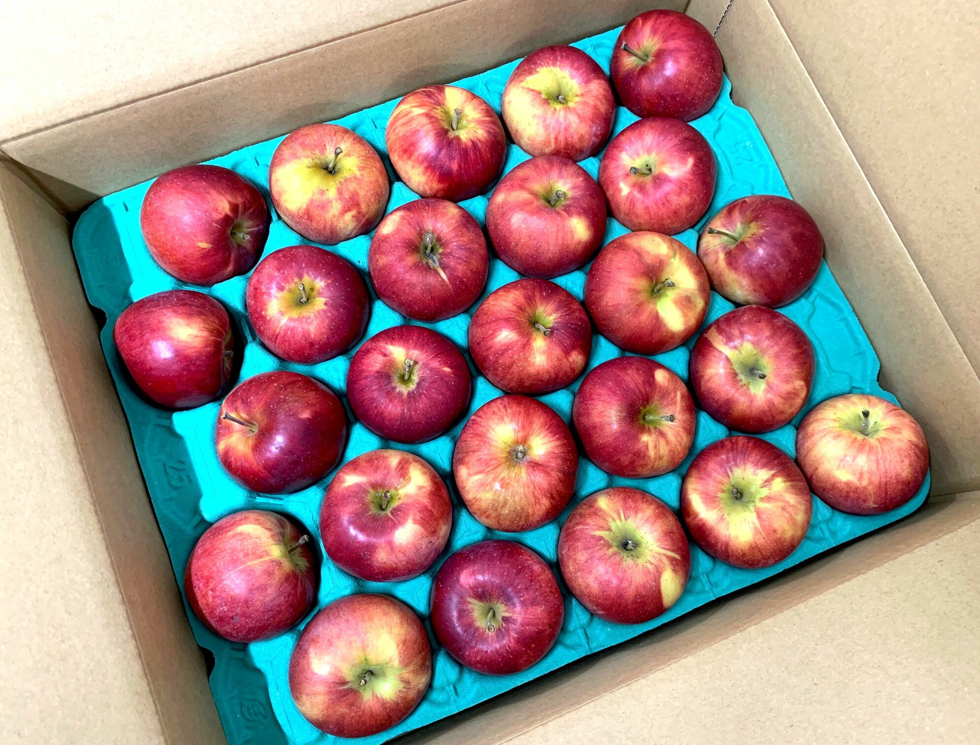 【減農薬】群馬県　りんご　石田さんの新世界（12〜25個入）約5kg箱【冷蔵】