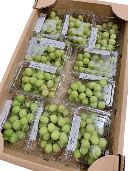 【減農薬】山梨県　ぶどう　勝沼のシャインマスカット（種無ぶどう） 約400gP×10P入　1箱【冷蔵】のサムネイル