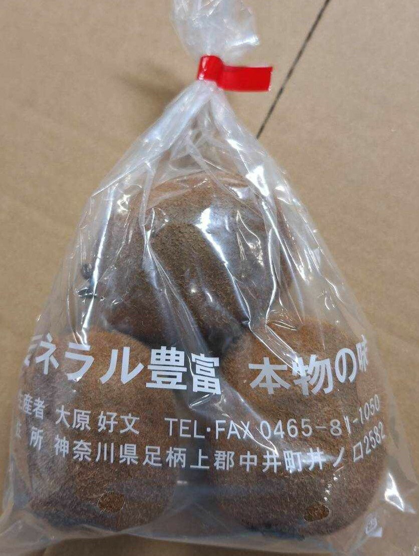 キウイ 【特別栽培】神奈川県　大原さんのキウイフルーツ　3個入1P　約350g　x2個セット【冷蔵】