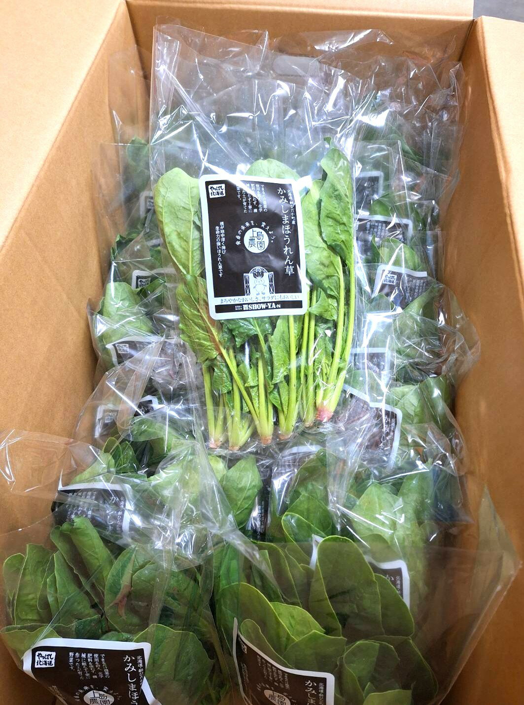 【農薬未使用】（直送）北海道のほうれん草　約150gP　×45P/箱【冷蔵】