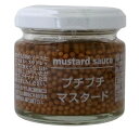 ファインド・ニューズ プチプチマスタード 60g x2個セット