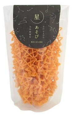 玉谷製麺所 星あそびパスタ 100g x2個セット