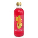 大泉工場 オーガニック_SHIP KOMBUCHA シソフューチャー(赤しそ)300ml x2個セット【冷蔵】