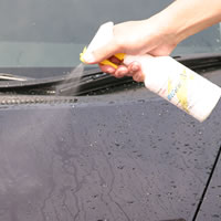 【送料無料】ブリスエックス SPセット / 疎水性 明るめの光沢 スーパーゴールドクロス・スポンジ（大）付き 効果約9ヶ月 自動車 ガラスコーティング剤 洗車