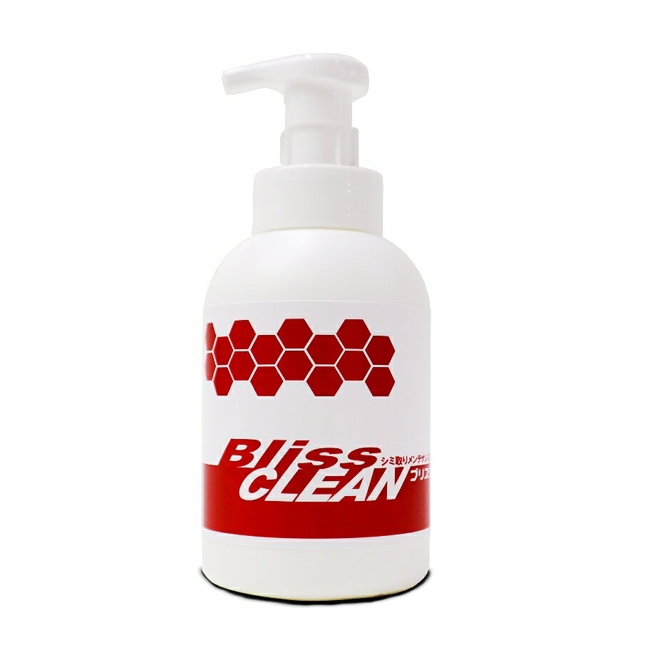 シミ取りメンテナンスカーシャンプー　ブリスクリーン