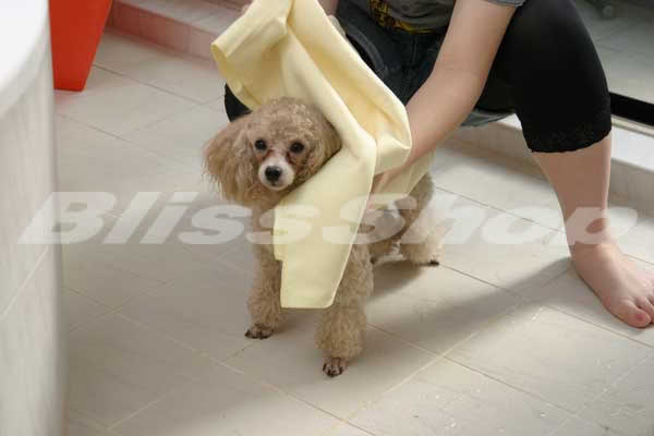 ���󥦥����������ڥå��ѥ����� �����Х������륵������90x130cm�פȥ��ݡ��ĥ����륵������40x90cm�פ� 2�祻�å�