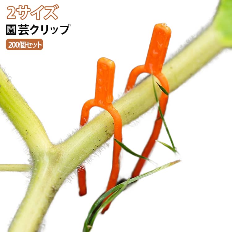 茎 フォーク 園芸クリップ 固定 地面 蔓 つる 200個セット 植物 留める 園芸クリップ 土 ガーデニング用品 農業 苺 イチゴ スイカ サツマイモ 簡単 便利