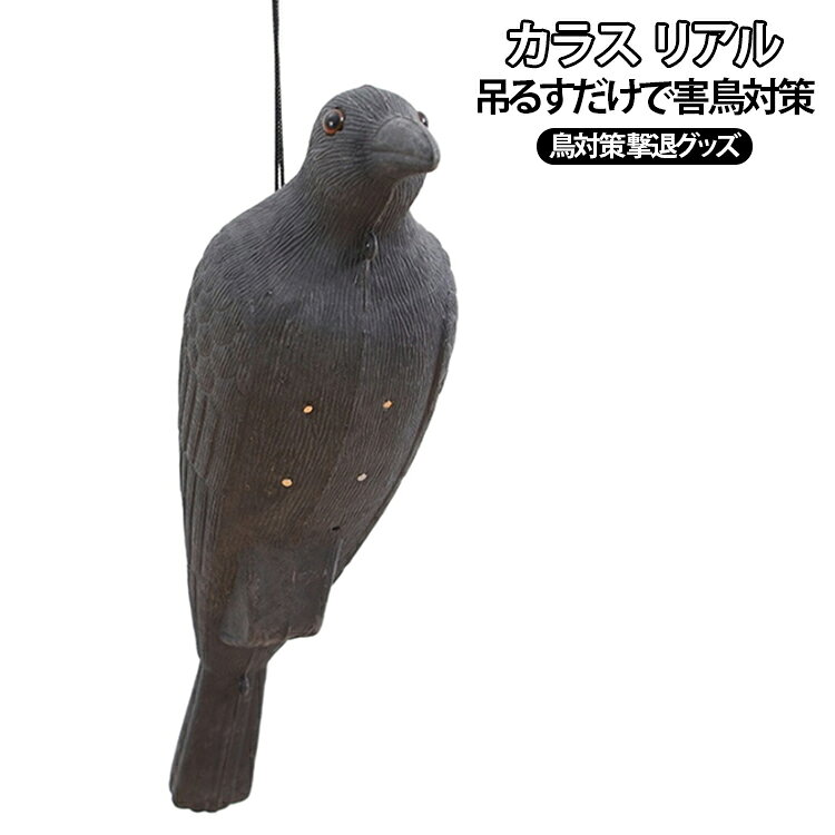 リアルなカラスの置物で本物の鳥を効果的に追い払います。庭や畑の鳥害対策に、本物と見間違うほど精巧な造形。軽量プラスチック製で屋外でも安心、長く使えます。カラス撃退に畑、庭、屋上、ベランダ等、ごみネットやボックス、ゴミ箱等にも簡単に設置していただけます。 サイズ F サイズについての説明 サイズ：50*10*15cm ※測定方法によって誤差が生じますので、予めご了承下さい。 素材 プラスチック 色 写真色 備考 ●サイズ詳細等の測り方はスタッフ間で統一、徹底はしておりますが、実寸は商品によって若干の誤差(1cm～3cm )がある場合がございますので、予めご了承ください。 ●製造ロットにより、細部形状の違いや、同色でも色味に多少の誤差が生じます。 ●パッケージは改良のため予告なく仕様を変更する場合があります。 ▼商品の色は、撮影時の光や、お客様のモニターの色具合などにより、実際の商品と異なる場合がございます。あらかじめ、ご了承ください。 ▼生地の特性上、やや匂いが強く感じられるものもございます。数日のご使用や陰干しなどで気になる匂いはほとんど感じられなくなります。 ▼同じ商品でも生産時期により形やサイズ、カラーに多少の誤差が生じる場合もございます。 ▼他店舗でも在庫を共有して販売をしている為、受注後欠品となる場合もございます。予め、ご了承お願い申し上げます。 ▼出荷前に全て検品を行っておりますが、万が一商品に不具合があった場合は、お問い合わせフォームまたはメールよりご連絡頂けます様お願い申し上げます。速やかに対応致しますのでご安心ください。