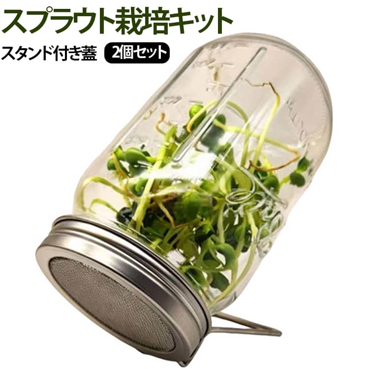 2個セット ブロッコリースプラウト栽培キット 発芽容器 スプラウト栽培キット スタンド付き蓋 ガラス瓶 メイソンジャー ブロッコリースプラウト栽培キット 野菜栽培 種子発芽 フィルター蓋付き 発芽栽培 スプラウト栽培容器 スプラウト ステンレス