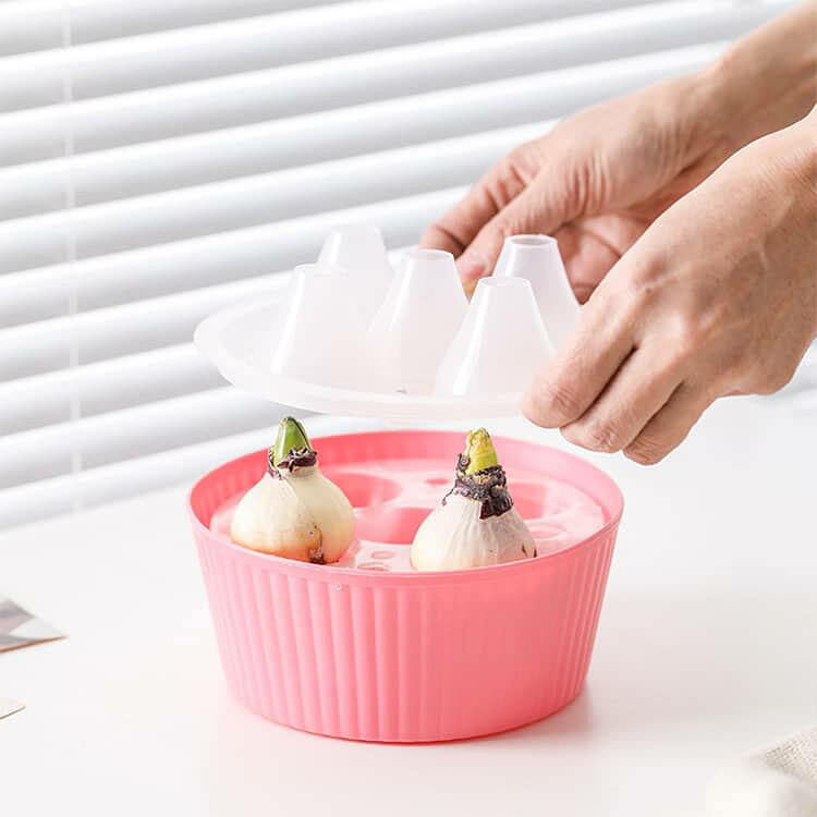 ポット 鉢植え花 ヒヤシンス 水耕栽培 三孔設計 水耕栽培 球根 2個セット 花球根用...