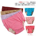 100cc 2枚入り サイドボタン 200cc 中失禁 大容量 軽失禁 【送料無料】女性用 綿 介護パンツ 女性用失禁パンツ 軽失禁パンツ レディース 失禁パン...
