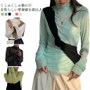 長袖 首元隠し 2枚セット シアーブラウス Tシャツ カットソー シアートップス 無地 シースルー ハイネック 透け感 肌隠し 肌着 シアー タートルネック カ...