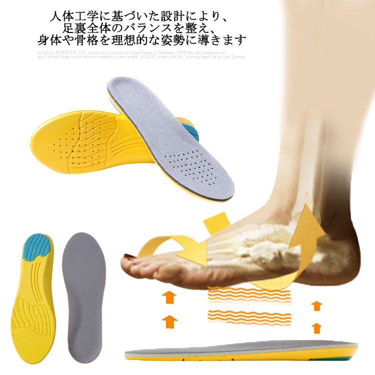 人体工学に基づいた設計により、足裏全体のバランスを整え、身体や骨格を理想的 姿勢に導きます。全身のバランスが整うことで疲労の軽減はもちろん、膝痛、腰痛、肩凝り どを軽減させることで、ケガの予防にも繋がります。こん 方にオススメ立ち仕事や通勤...