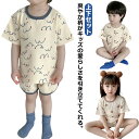 半袖 パジャマ キッズ キッズパジャマ 夏 男の子 ベビー 子供パジャマ ジュニア 子供 薄手 セットアップ 部屋着 寝巻 上下セット 女の子 ルームウェア 送...
