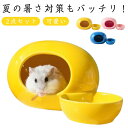 ハムスターハウス 食器 2点セット セラミック製 小動物用 ハムスター ハウス 涼しい 陶器 隠れ家 フードボウル ペット用品 可愛い 夏の暑さ対策 ひんやり ...
