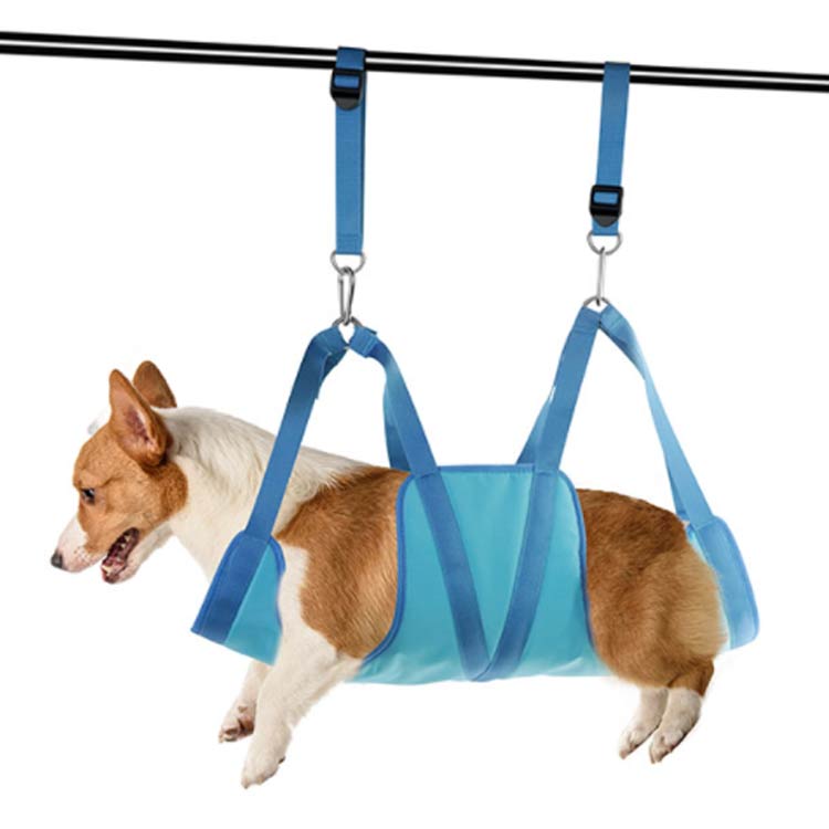 ������̵���ۥ��롼�ߥ󥰥ϥ��å� �إ�ѡ� ǭ���ȥ�ߥ��� ��«�Хå� �̵��� ���� ���꡼�˥� ȱ�������� ��Ԥ����� �ڥå��� �ϥ��å� �ڥå����� ���롼�ߥ� S���եå� ������ �ߤ�夲 �ϥ��å� �ϡ��ͥ� ˽���ɻ� ���ڤ� ���ݽ�