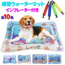 【20倍ポイント祭】期間限定!ペット マット 【インフレーター付き】犬猫用ウォーターマット 水プレイマット ペットの遊び用 感覚プレイマット 涼しく快適な感触 ...
