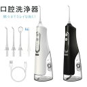 口腔洗浄器 電動歯ブラシ 歯間ブラシ 歯間クリーナー 歯洗浄 歯磨き超音波 歯垢除去 歯周ポケットケア 口腔洗浄器 ハンディタイプ 口腔洗浄機 USB充電式 IPX7防水 310MLタンク節 替えブラシ歯茎ケアー 歯垢