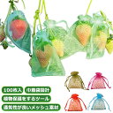 果樹用防鳥ネット 果物保護バッグ 果物袋 果物保護ネット 保護ネット 100枚入 栽培用 オーガンジー生地 桃 果実袋 ネット 鳩よけネット イチゴ 通気性 イチゴ 鳥よけ 虫よけ カラス対策 害虫鳥避け メッシュ 鳥よ